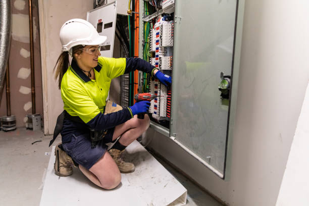 Best Electric Panel Repair  in South Floral Park, NY